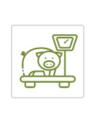 WEIGHING SYSTEM