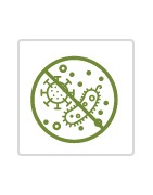 SANITIZATION